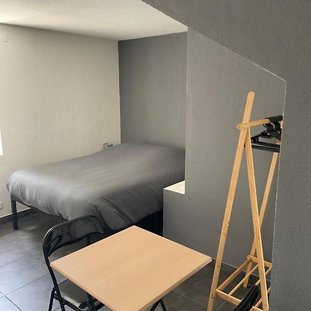 Studio 3 Proche Fac Climatise Альбі Екстер'єр фото